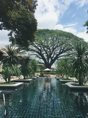 Chiang Mai,Thailand